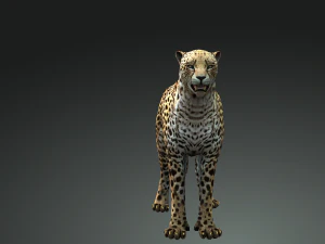 BAIXAR GATO MODELO 3D GATO LEOA TIGRE LE&Atilde;O CHITA LEOPARDO PREDADOR RAPTOR LEOA MONSTRO Modelo 3D