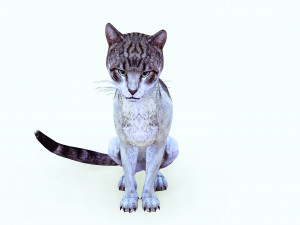 DOWNLOAD CAT 3D MODEL CAT LIONESS TIGER LION CHEETAH LEOPART PREDATOR RAPTOR LIONESS MONSTER 3D 모델