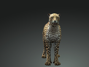 DOWNLOAD CAT 3D MODEL CAT LIONESS TIGER LION CHEETAH LEOPART PREDATOR RAPTOR LIONESS MONSTER 3D 모델