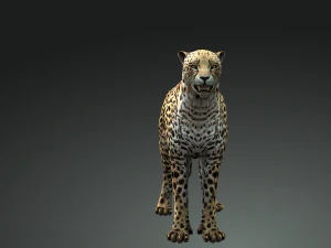 BAIXAR GATO MODELO 3D GATO LEOA TIGRE LE&Atilde;O CHITA LEOPARDO PREDADOR RAPTOR LEOA MONSTRO Modelo 3D