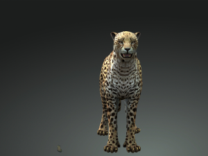 DOWNLOAD CAT 3D MODEL CAT LIONESS TIGER LION CHEETAH LEOPART PREDATOR RAPTOR LIONESS MONSTER 3D 모델