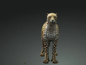 BAIXAR GATO MODELO 3D GATO LEOA TIGRE LE&Atilde;O CHITA LEOPARDO PREDADOR RAPTOR LEOA MONSTRO Modelo 3D