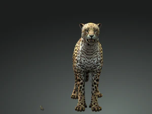 BAIXAR GATO MODELO 3D GATO LEOA TIGRE LE&Atilde;O CHITA LEOPARDO PREDADOR RAPTOR LEOA MONSTRO Modelo 3D