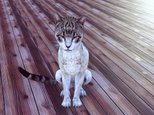 DOWNLOAD CAT 3D MODEL CAT LIONESS TIGER LION CHEETAH LEOPART PREDATOR RAPTOR LIONESS MONSTER 3D 모델