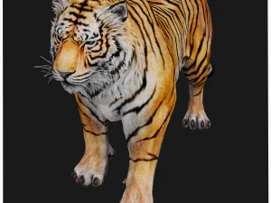 BAIXAR GATO MODELO 3D GATO LEOA TIGRE LE&Atilde;O CHITA LEOPARDO PREDADOR RAPTOR LEOA MONSTRO Modelo 3D