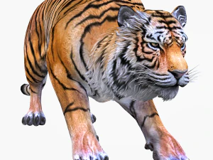 BAIXAR GATO MODELO 3D GATO LEOA TIGRE LE&Atilde;O CHITA LEOPARDO PREDADOR RAPTOR LEOA MONSTRO Modelo 3D