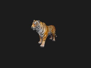 DOWNLOAD CAT 3D MODEL CAT LIONESS TIGER LION CHEETAH LEOPART PREDATOR RAPTOR LIONESS MONSTER 3D 모델