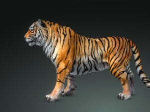 DOWNLOAD CAT 3D MODEL CAT LIONESS TIGER LION CHEETAH LEOPART PREDATOR RAPTOR LIONESS MONSTER 3D 모델