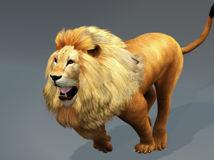 DOWNLOAD CAT 3D MODEL CAT LIONESS TIGER LION CHEETAH LEOPART PREDATOR RAPTOR LIONESS MONSTER 3D 모델