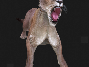 DOWNLOAD CAT 3D MODEL CAT LIONESS TIGER LION CHEETAH LEOPART PREDATOR RAPTOR LIONESS MONSTER 3D 모델