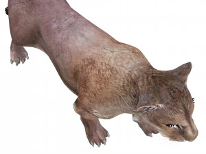 BAIXAR GATO MODELO 3D GATO LEOA TIGRE LE&Atilde;O CHITA LEOPARDO PREDADOR RAPTOR LEOA MONSTRO Modelo 3D