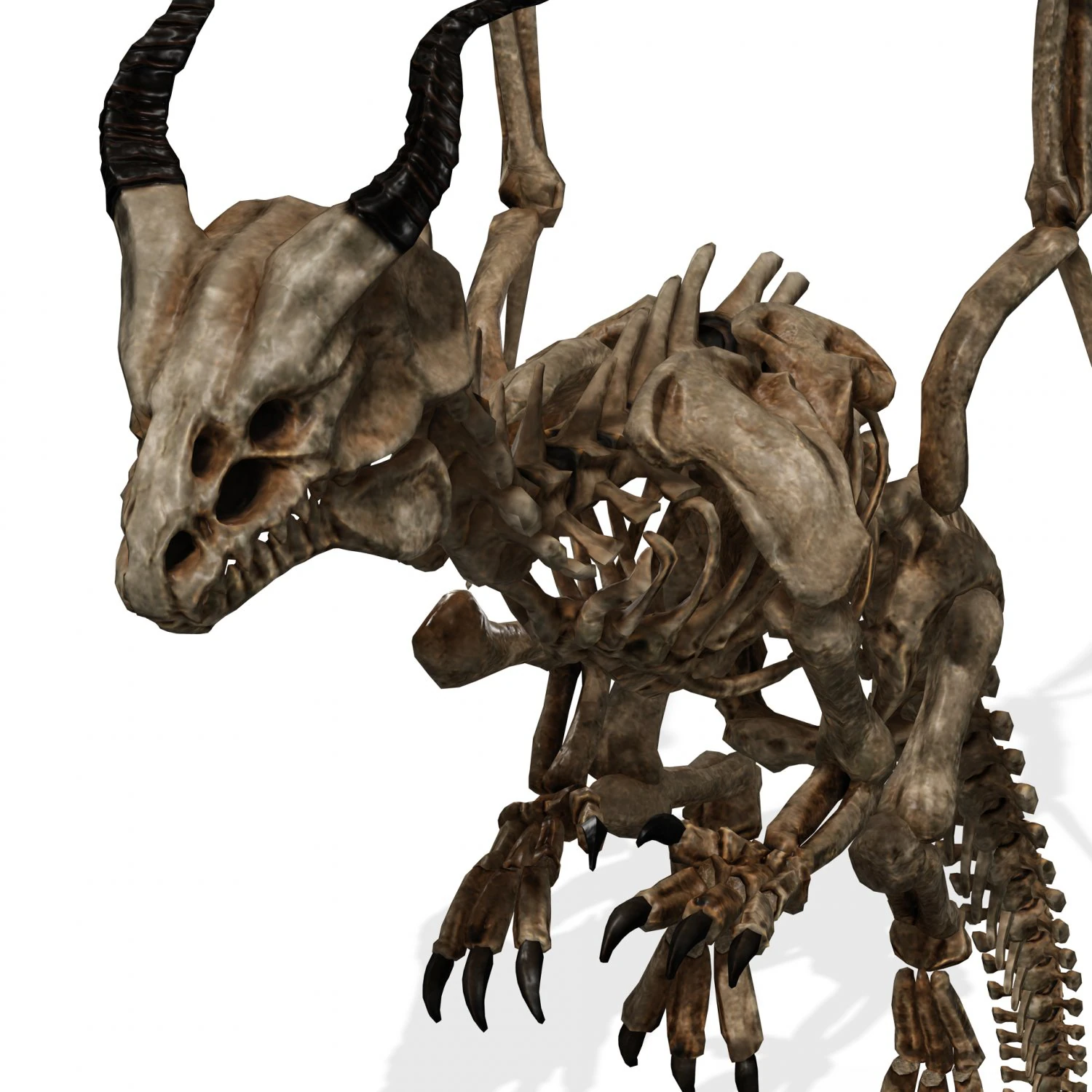 BONES FLYING DRAGON - ANIMATED DRAGON 3D Model .c4d .max .obj .3ds .fbx .stl .blend 