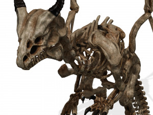 BONES FLYING DRAGON - ANIMATED DRAGON 3D Model
