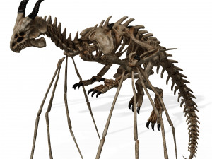 BONES FLYING DRAGON - ANIMATED DRAGON 3D Model