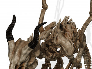 BONES FLYING DRAGON - ANIMATED DRAGON 3D Model