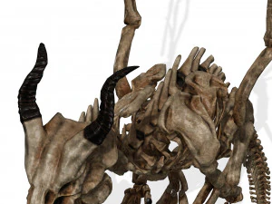 BONES FLYING DRAGON - ANIMATED DRAGON 3D Model