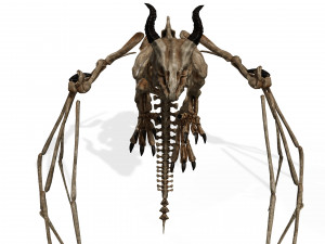 BONES FLYING DRAGON - ANIMATED DRAGON 3D Model