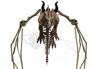 BONES FLYING DRAGON - ANIMATED DRAGON 3D Model