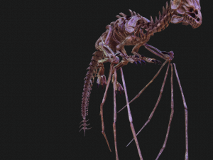 BONES FLYING DRAGON - ANIMATED DRAGON 3D Model
