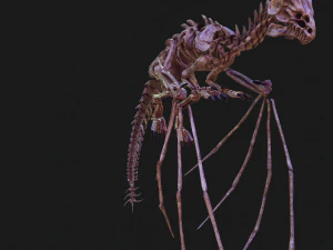 BONES FLYING DRAGON - ANIMATED DRAGON 3D Model