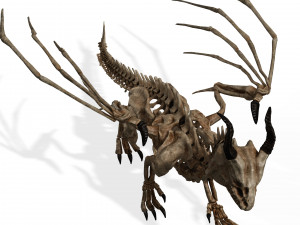 BONES FLYING DRAGON - ANIMATED DRAGON 3D Model