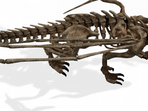 BONES FLYING DRAGON - ANIMATED DRAGON 3D Model