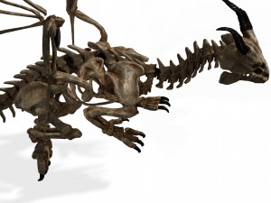 BONES FLYING DRAGON - ANIMATED DRAGON 3D Model