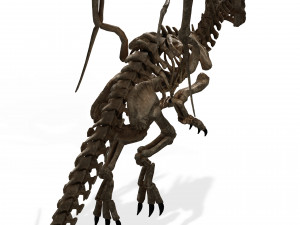 BONES FLYING DRAGON - ANIMATED DRAGON 3D Model