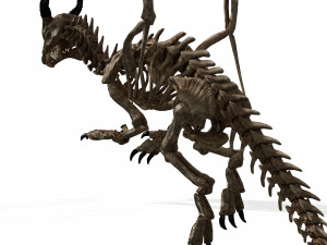 BONES FLYING DRAGON - ANIMATED DRAGON 3D Model