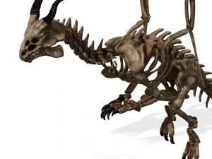 BONES FLYING DRAGON - ANIMATED DRAGON 3D Model