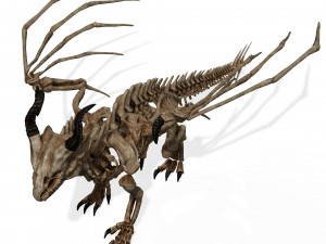 BONES FLYING DRAGON - ANIMATED DRAGON 3D Model