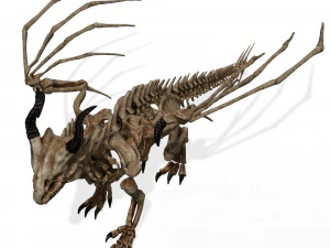 BONES FLYING DRAGON - ANIMATED DRAGON 3D Model