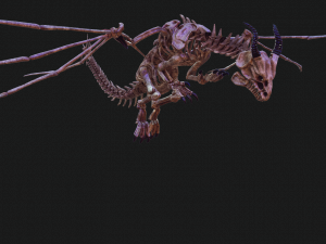BONES FLYING DRAGON - ANIMATED DRAGON 3D Model