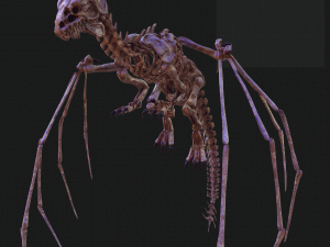 BONES FLYING DRAGON - ANIMATED DRAGON 3D Model