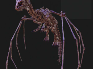 BONES FLYING DRAGON - ANIMATED DRAGON 3D Model