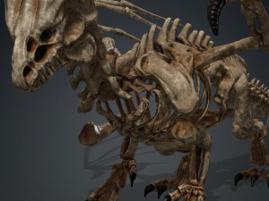 BONES FLYING DRAGON - ANIMATED DRAGON 3D Model