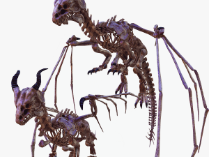 BONES FLYING DRAGON - ANIMATED DRAGON 3D Model