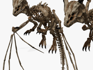 BONES FLYING DRAGON - ANIMATED DRAGON 3D Model