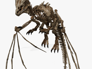 BONES FLYING DRAGON - ANIMATED DRAGON 3D Model