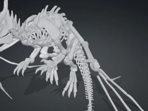 BONES FLYING DRAGON - ANIMATED DRAGON 3D Model