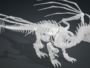 BONES FLYING DRAGON - ANIMATED DRAGON 3D Model