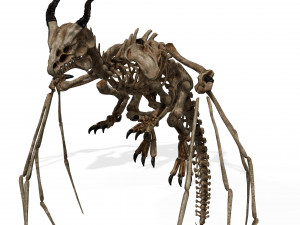BONES FLYING DRAGON - ANIMATED DRAGON 3D Model