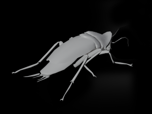 Cockroach 3D Model