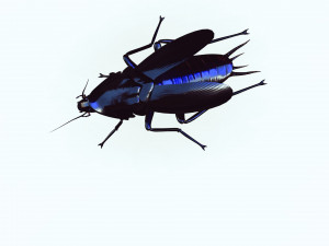 Cockroach black 3D Модель