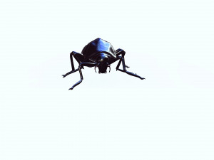 Cockroach black 3D Модель