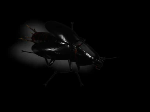 Cockroach black 3D Model