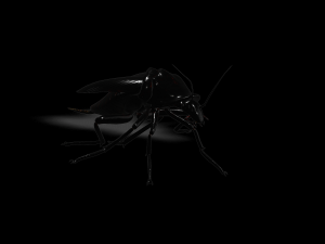 Cockroach black 3D Модель