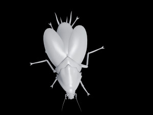Cockroach black 3D Модель
