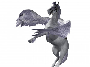 REALISTIC WHITE HORSE WHIT WINGS 3D Модель