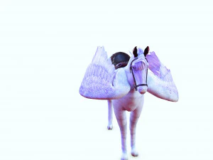 AMAZING WHITE HORSE WHIT WINGS 3D Model